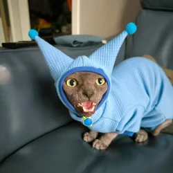 Waffle Sweatshirt Hat Suit for Sphynx Cat Winter Warm Black Blue Pink Coat for Kittens Spring Soft thick Jacket for Devon Rex
