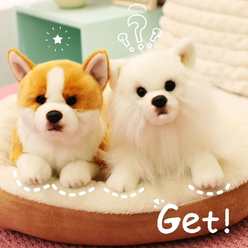 ตุ๊กตาสุนัขคอร์กี้ ลาบราดอร์ ฮัสกี้ น่ารัก พรีเมียม ใหม่ ของเล่นตุ๊กตาสัตว์เหมือนจริง นุ่มนิ่ม สำหรับเด็ก ผู้หญิง ของขวัญน่ารัก