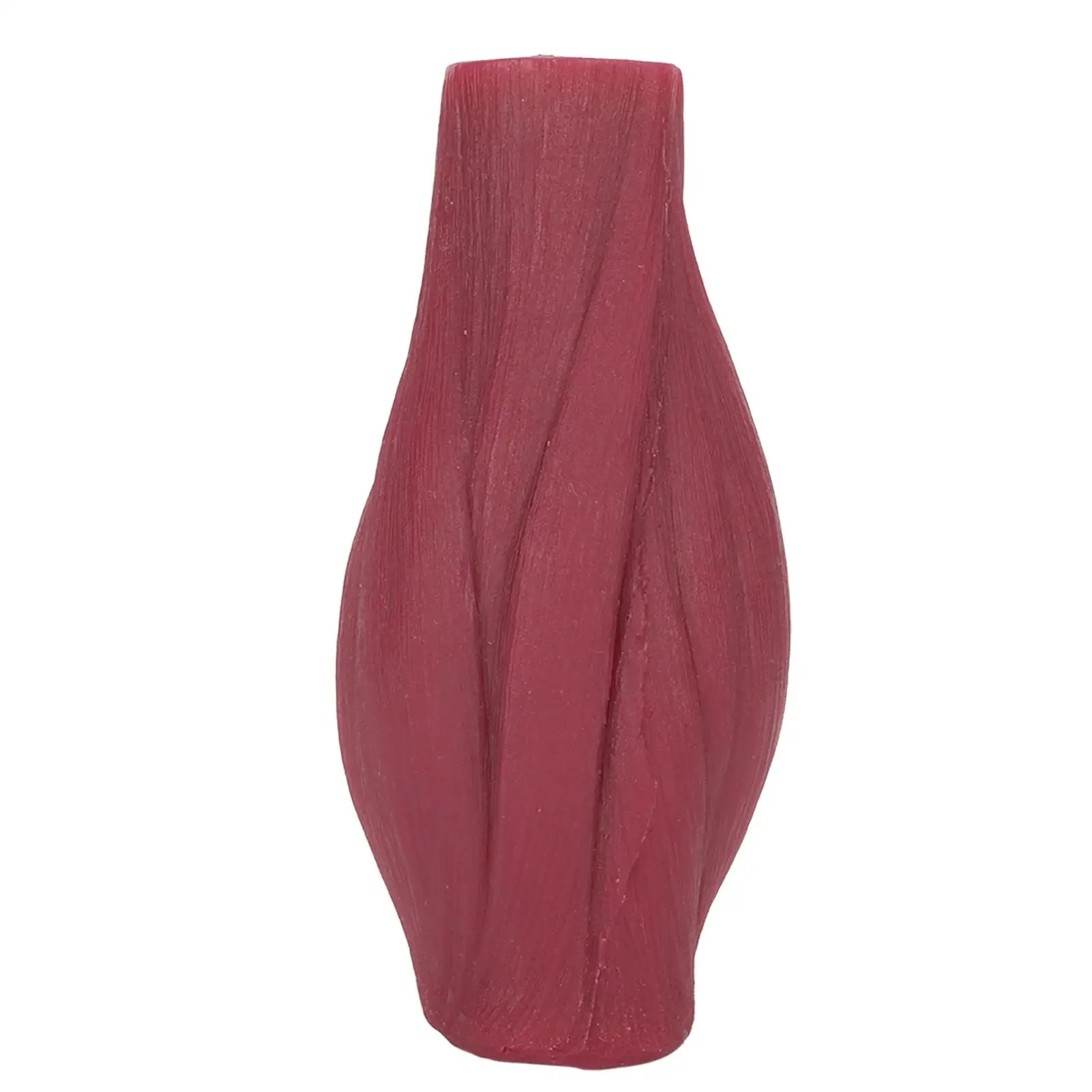 

Модель реплики мышц анатомии человека 1 фунт, образовательная для отображения анатомии, изучения и обучения