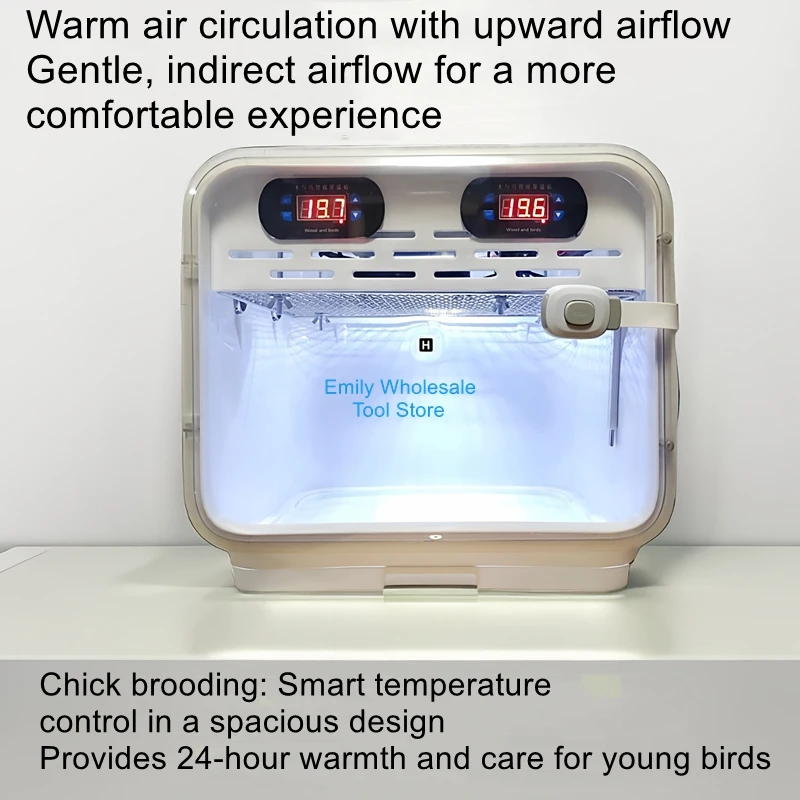 Smart Heated Incubator for Raising Baby Birds and Chicks | Incubator for 0-Day-Old Parrot Chicks