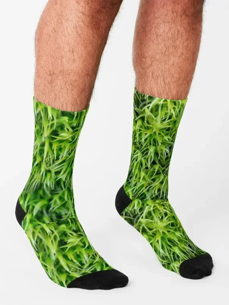 Grassy Plain Socks heated halloween gym cute Male Socks Women's
