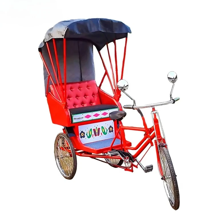 Small family garden sightseeing passenger bicycle, electric pedal pedal tricycle