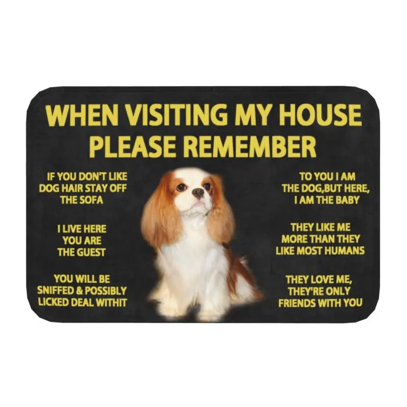 Personalized Please Remember Cavalier King Charles Spaniel Doormat Mat Anti-Slip Dog Kitchen Bathroom Balcony Rug Carpet 40*60cm