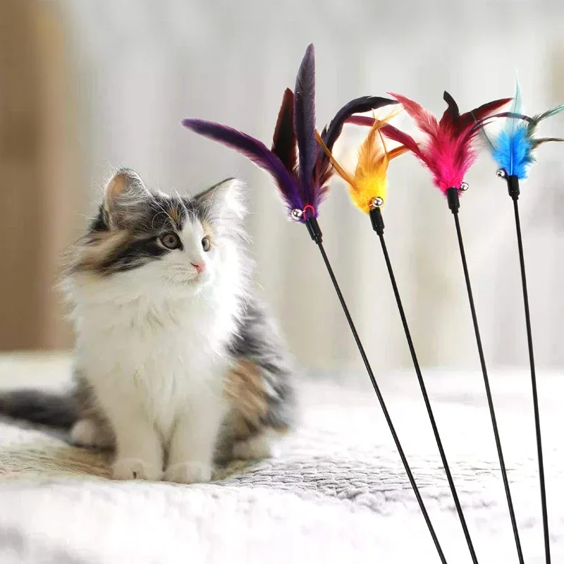 

1pc Funny Kitten Cat Teaser Interactive Toy Rod with Bell and Feather Toys for Cats Teaser Interactive Toy Rod Pet Cat Toy Stick