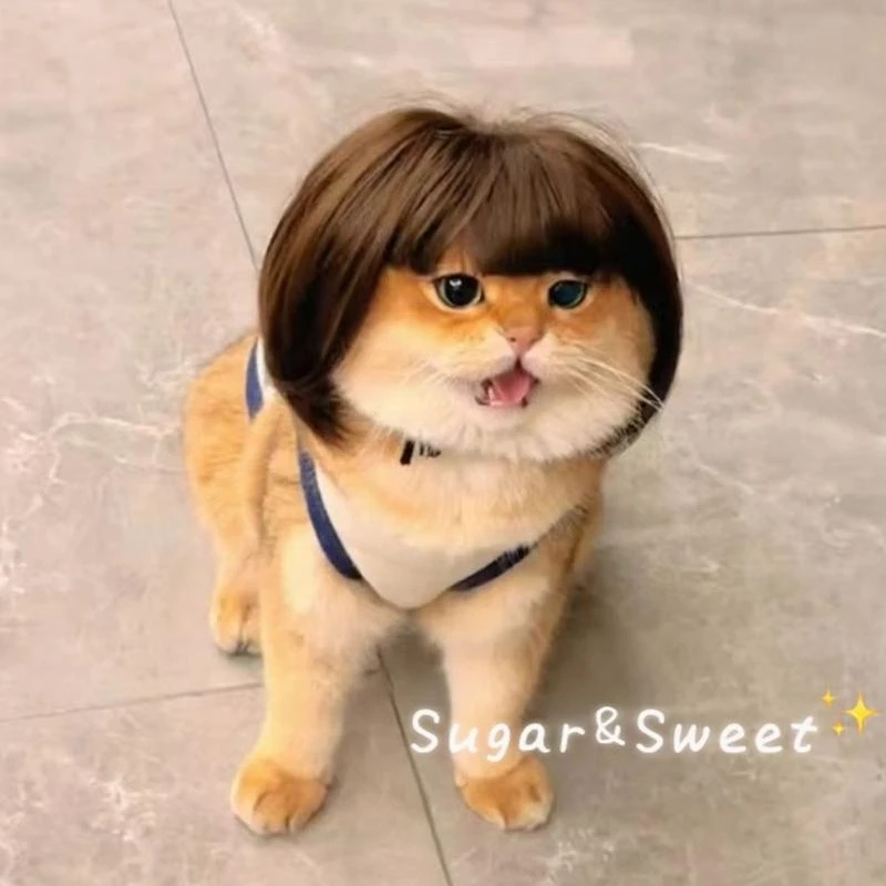 

High Temperature Fiber Dog Wigs Bob Haircut For Small Pet Various Occasion Props
