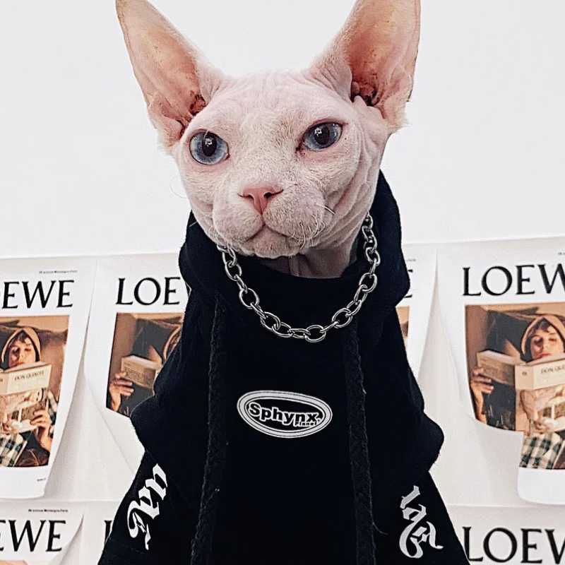 Fashion Spring Autumn Sphynx Devon Hairless Cat Clothes Cotton Fleece Hoodie for Devon Rex Cartoon Sweatshirt in Autumn