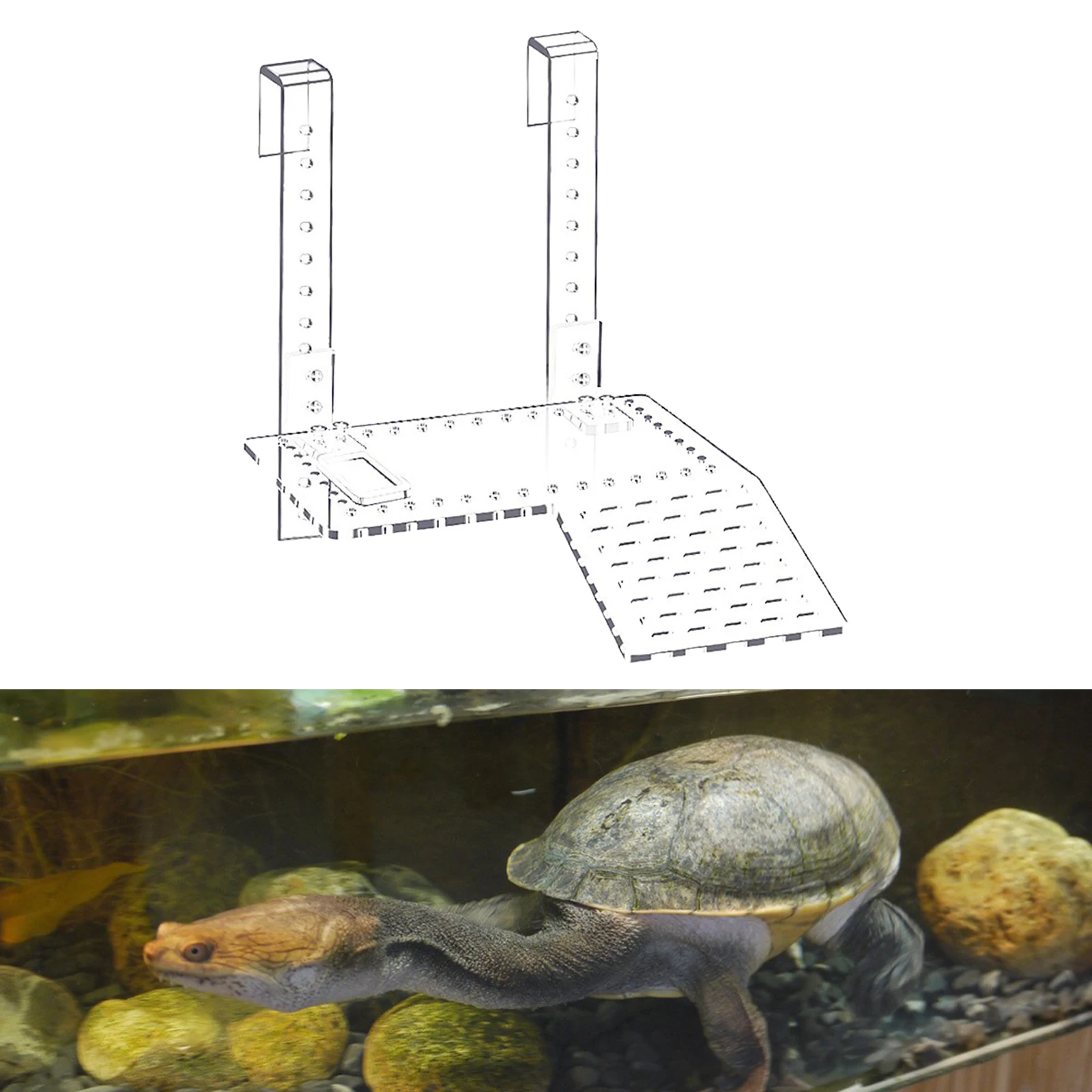 Acrylic Turtle Basking Platform Resting Terrace Climbing Shelf for Small Reptile Resting Terraces Climbing Plastic Ladder Ramp