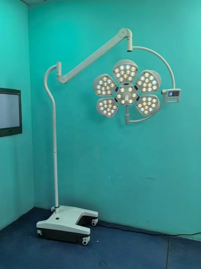 Professional Surgical Light, 700/500mm Operating Lamp, Shadowless Medical LED Light for Clinic Treatment Room Use