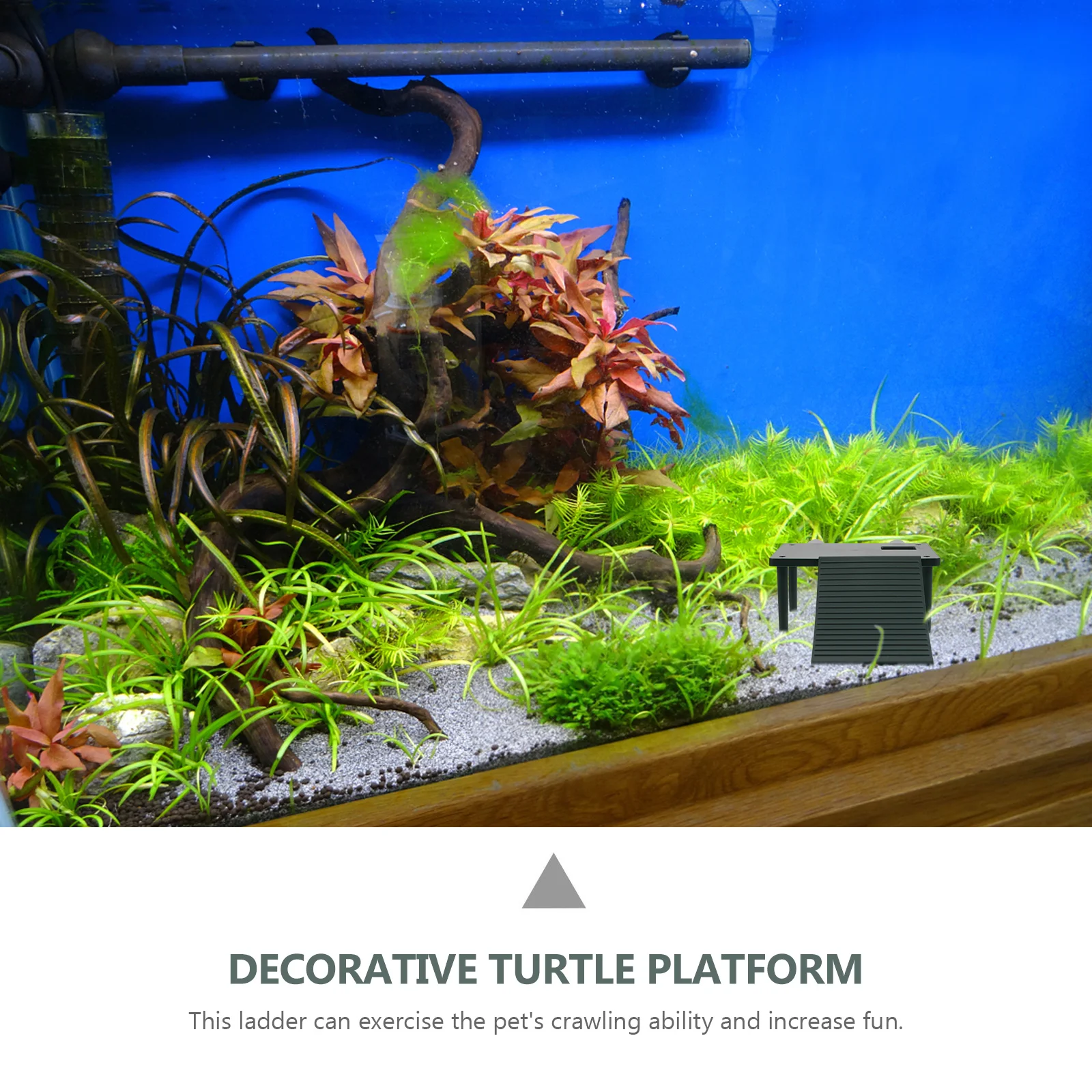 

Environmentally Friendly Turtle Basking Platform Smooth Surface Decorative Reptile Habitat