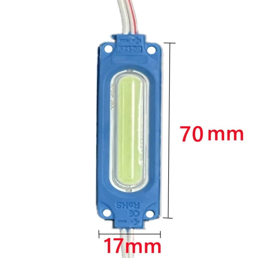 20PCS/lot 12V Multicolour Led Modules COB Light for Backlight Shop Banner Waterproof IP65 Christmas Decorations White Warm Blue