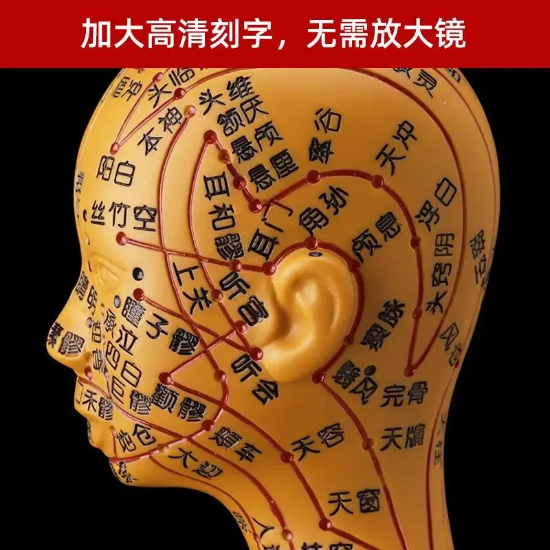 Acupoint human model, can pierce needles and meridians, whole body traditional Chinese medicine small copper man model twelve