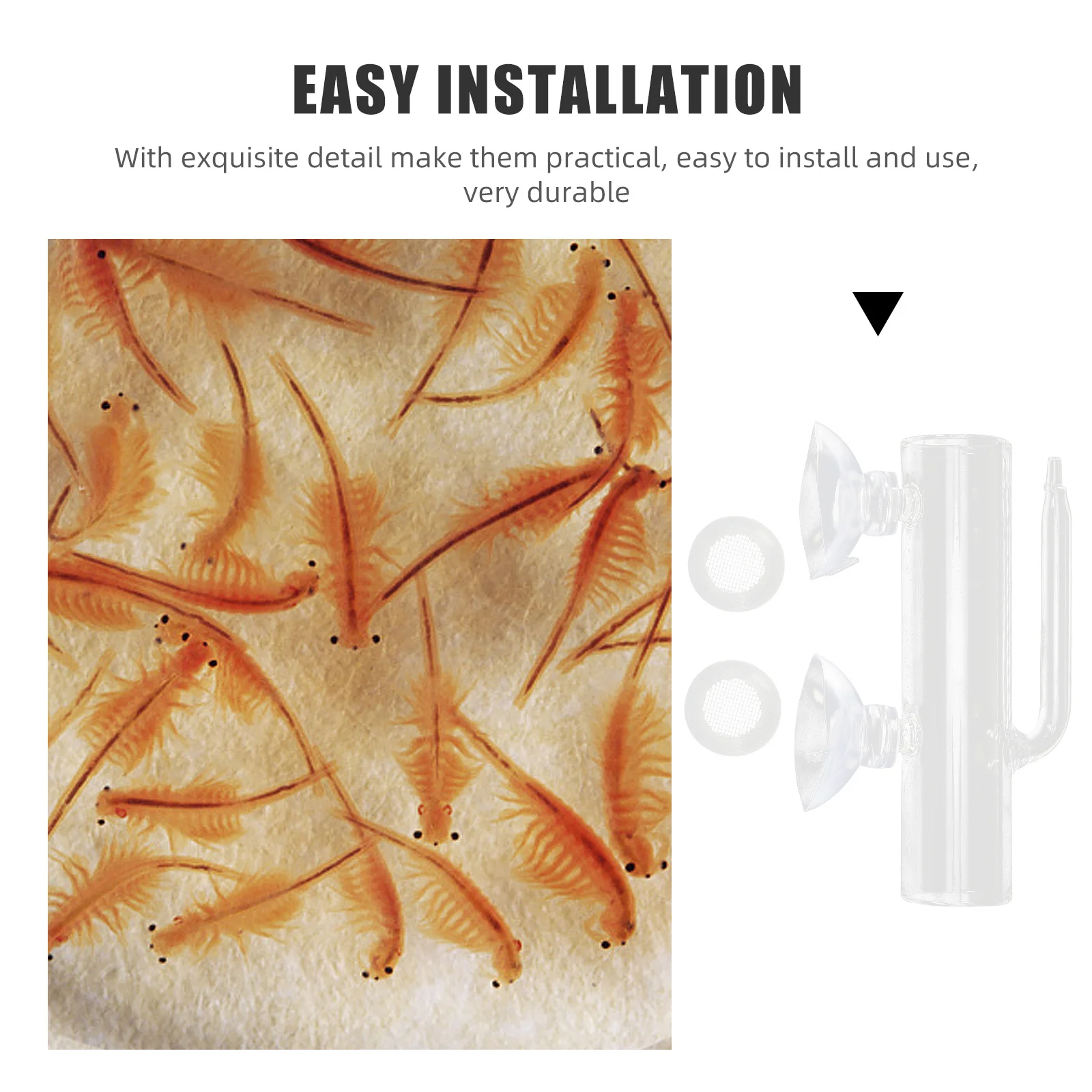 

1Set Glass Aquarium Box Fish Breeding Tool Suction Cup Isolation Container Increased Survival Fish Fishing Breeding Box