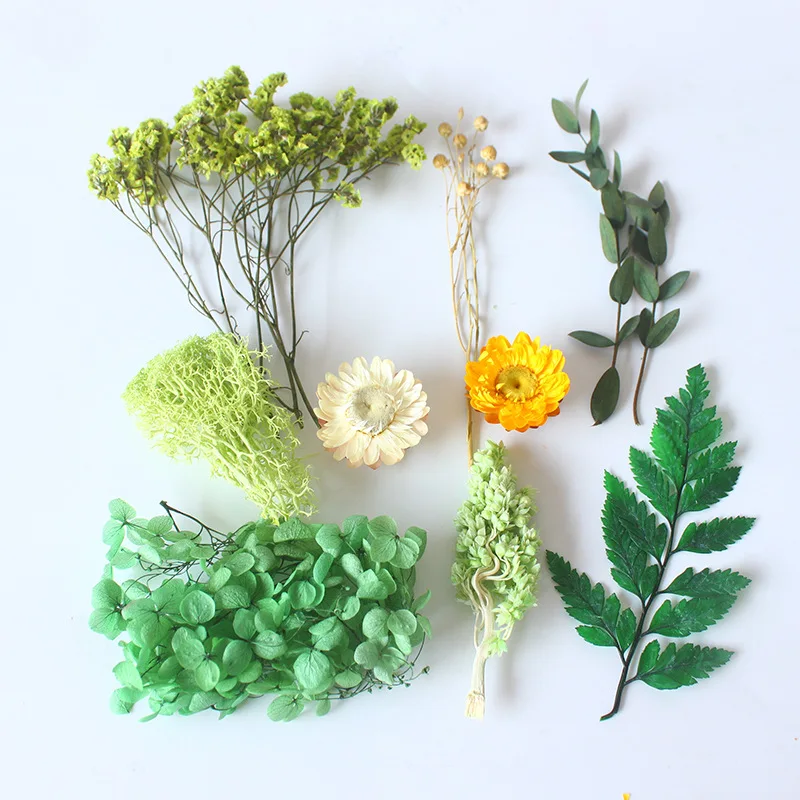 Confezione in scatola di fiori secchi Borsa in materiale per fiori eterni Cornice fai-da-te Bottiglia di vetro Colla a goccia Produzione artigianale di fiori reali fatti a mano