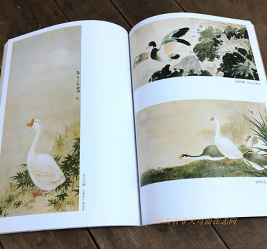 Zhang Qiyi Collection of Flower Birds Chinese Paintings Drawing Art Book