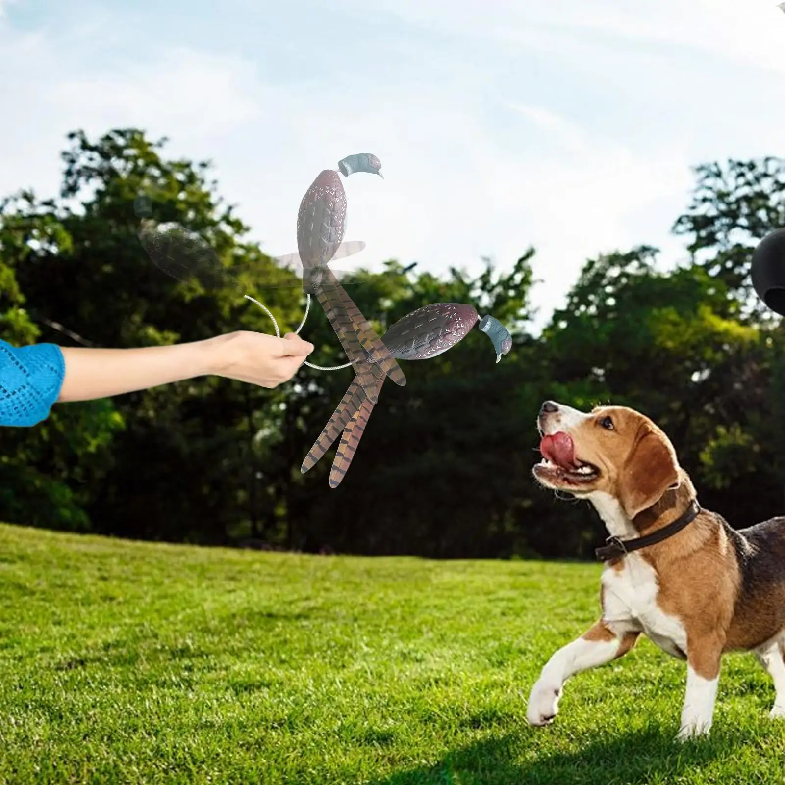 Dog Bumpers For Water Retrieving Pheasant Dog Toys For Hunting Retriever Scent Floating Decoys Fowl Trainer Interactive Pet