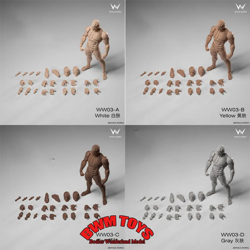 

WW03 1/12 Scale Male Soldier Anime Super Flexible Movable Joint Muscle Body With interchangeable Head For 6'' Action Figure Doll