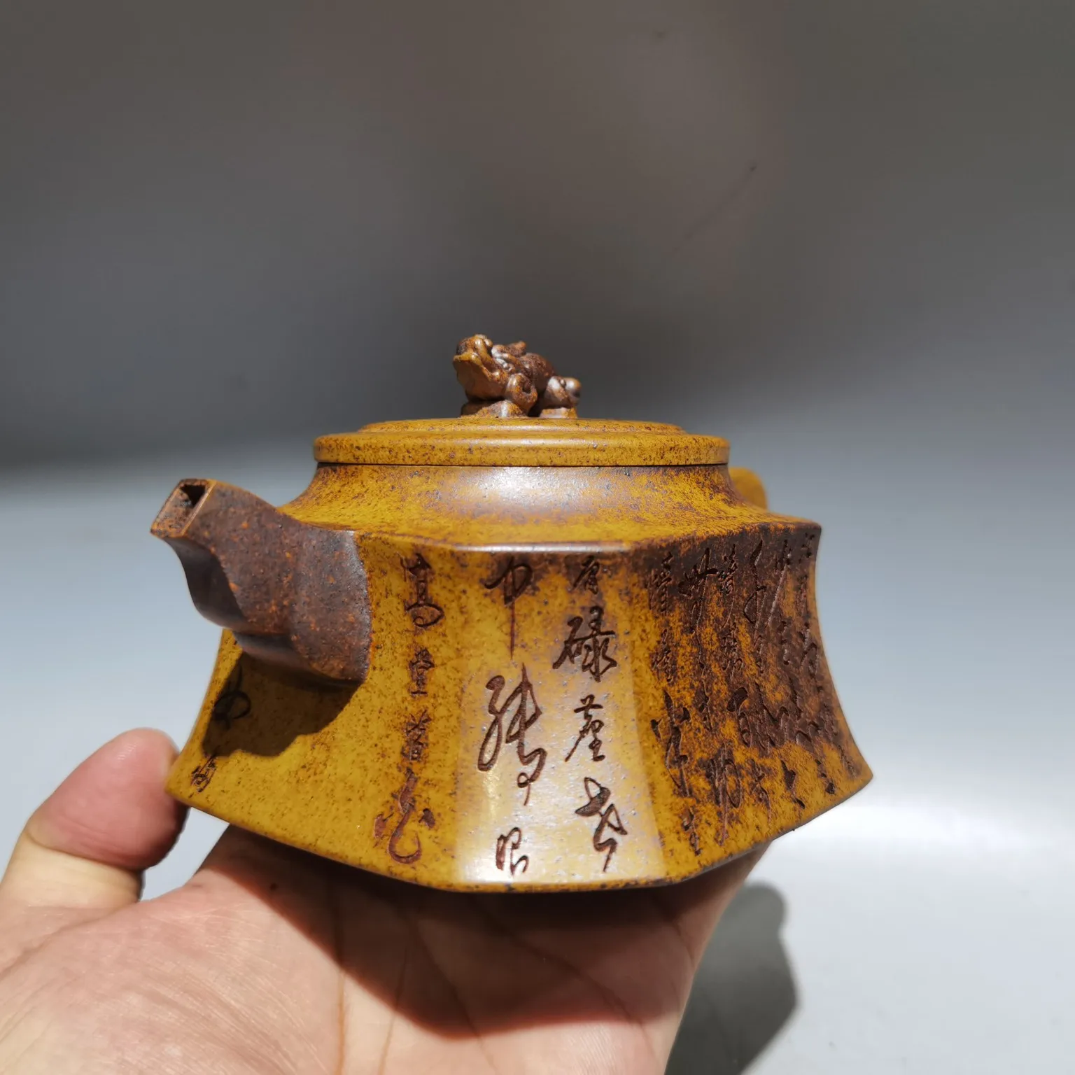 Yixing Teapot Purple Clay Pot Long Gai Engraved pattern Chai chameleon pot Teapot Kettle Tasting tea ceremony Ornaments