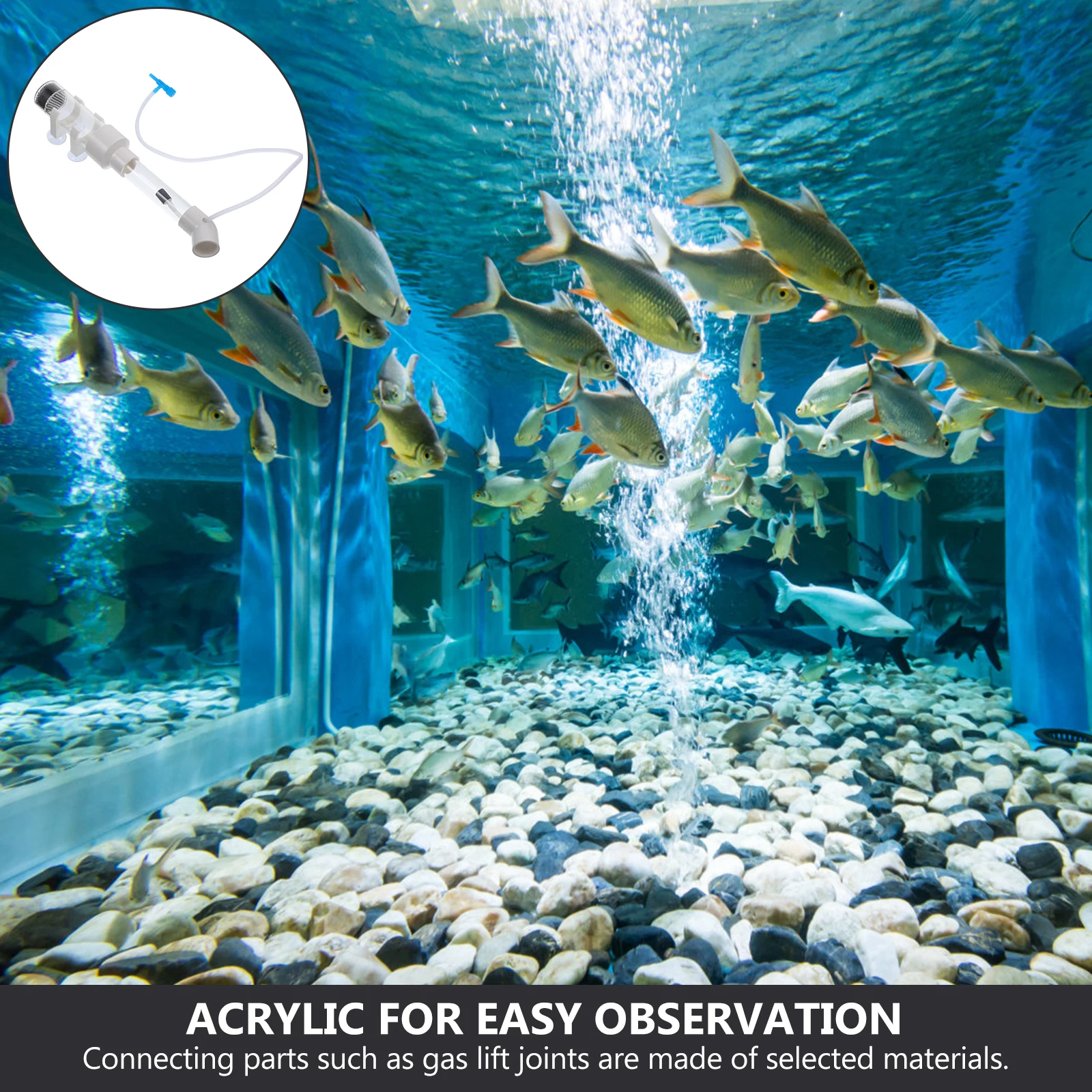

Fish Egg Incubator Tumbler for Aquarium Hatchery Filter Ornamental Breeding Tube Baby
