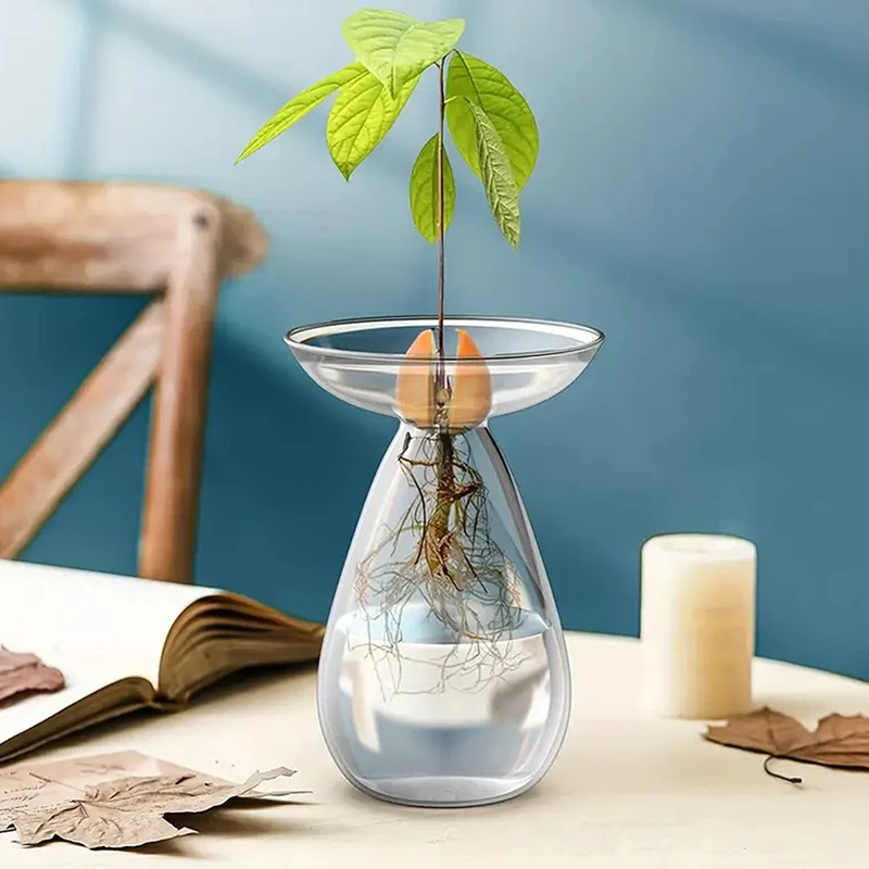 Colorful Transparent Avocado Hydroponic Vase, Glass Seed Starter Kit for Plant Growing
