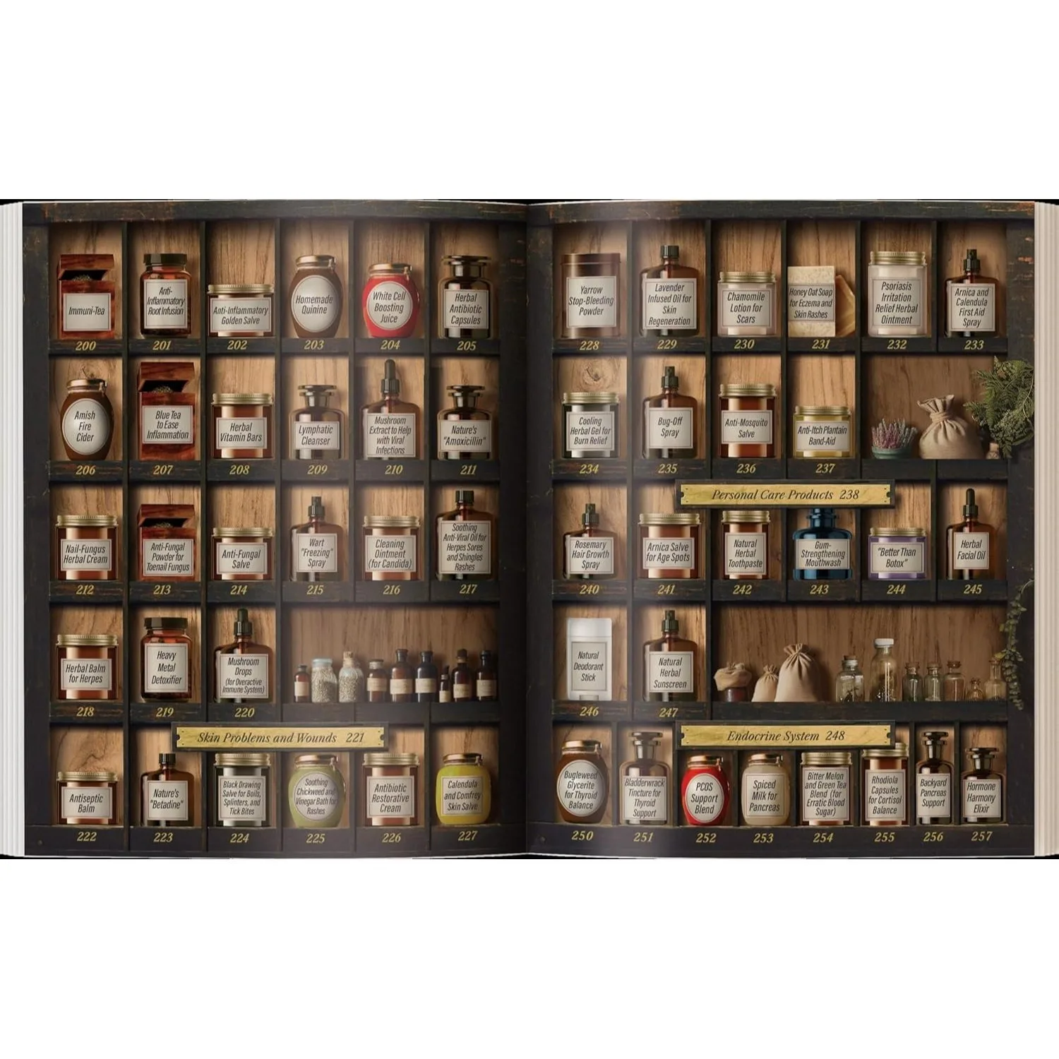 Forgotten Family Pharmacist _250 Powerful Remedies At Your Fingertips
