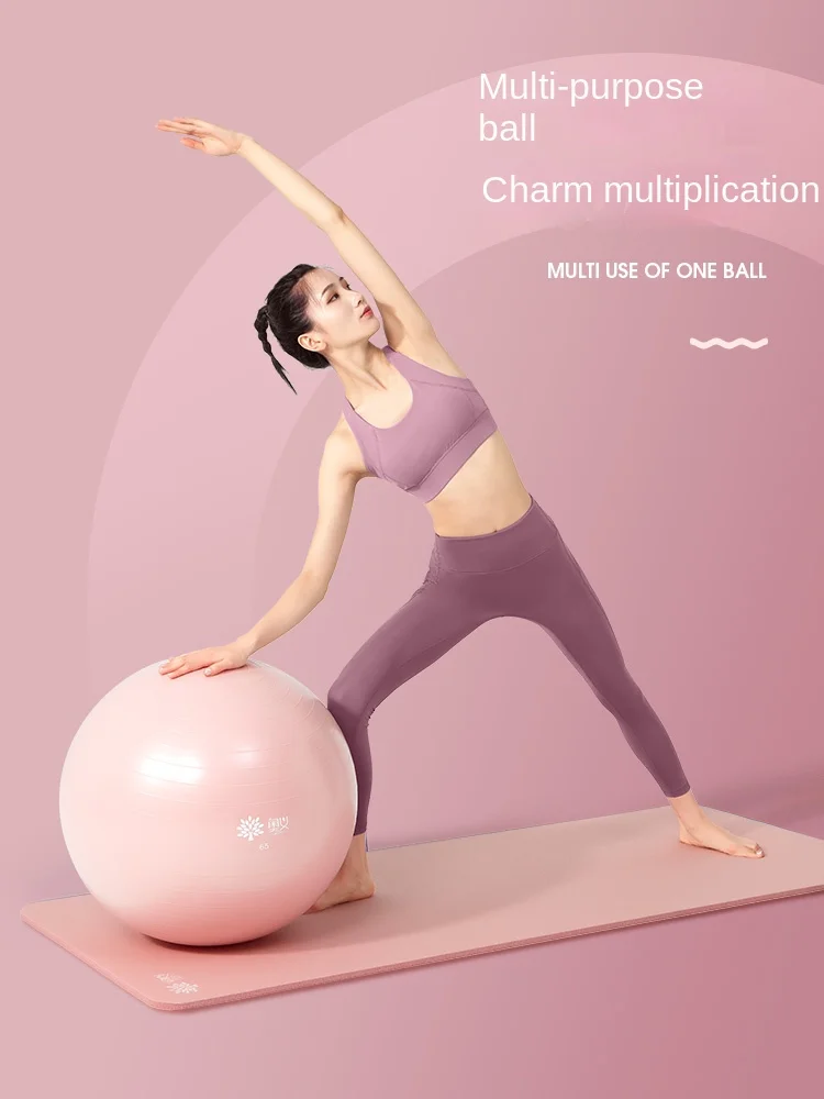 Yoga Ball Anti-Burst with Air Pump, Thickened Stability Balance for Physical Fitness