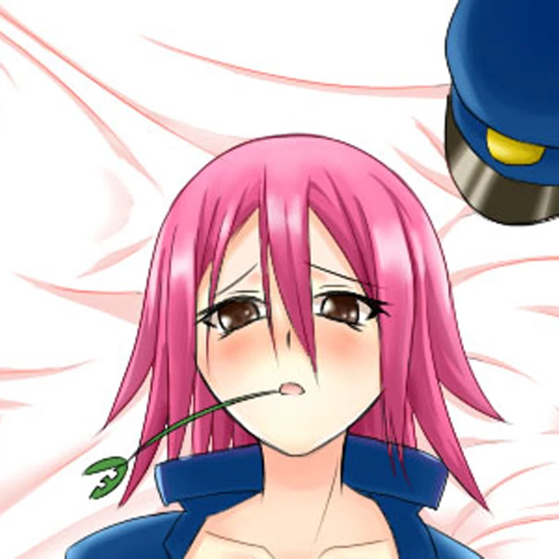 Dakimakura Anime Mizuki Double-sided Print 2WAY Tricot Life-size Body Pillow Cover Pillowcase Custom print