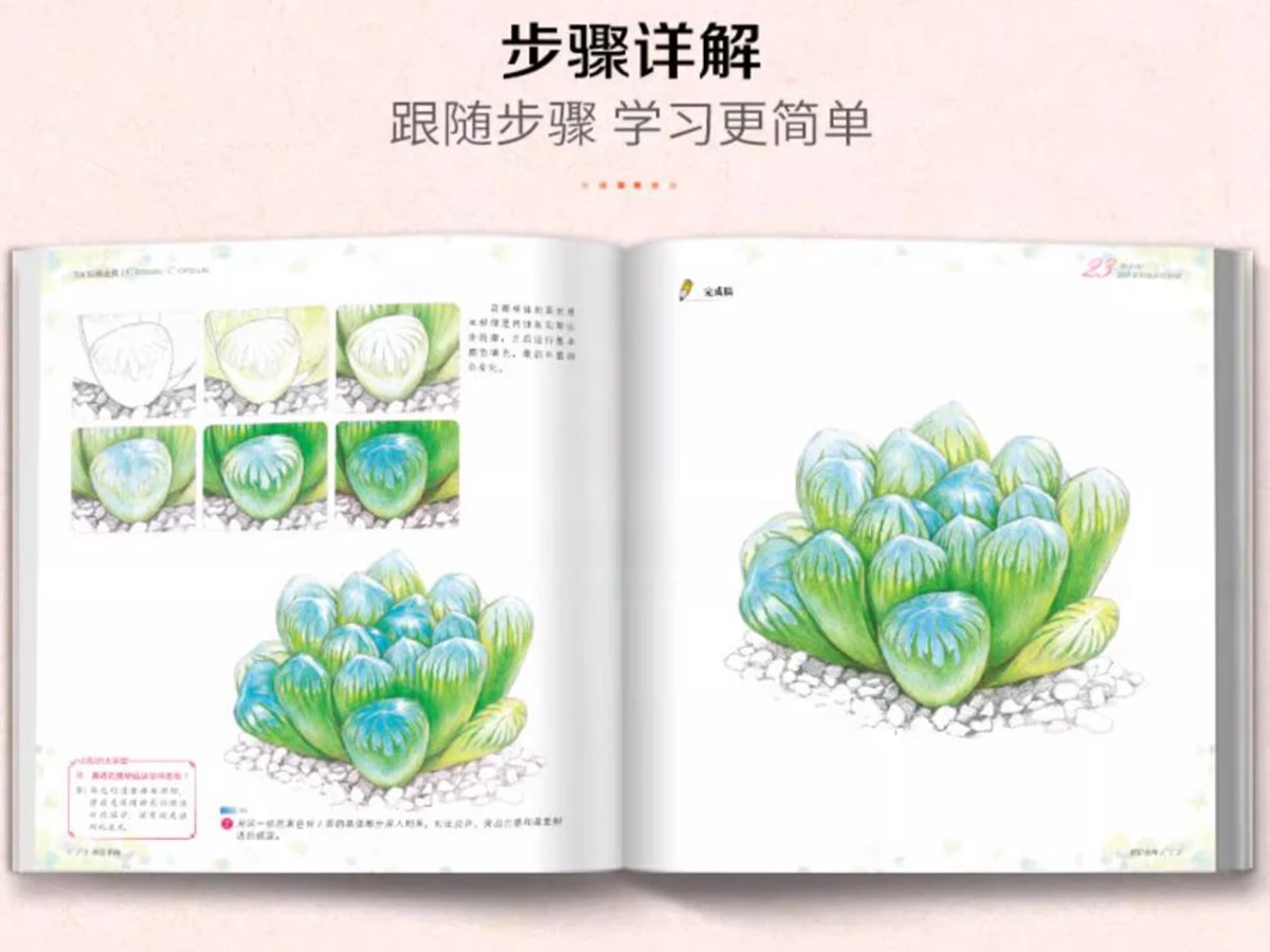 1pc Chinese Water Color Drawing Colour Colored Pencils Succulent Plants Tutorial Book Pencil Hand-painted Tutorial Book