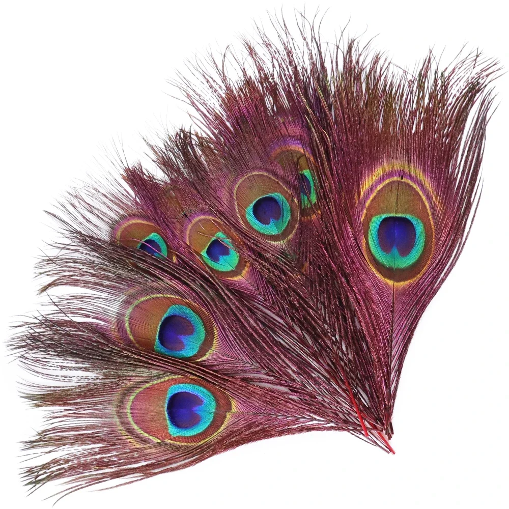 Colored Peacock Feathers 15-25 CM/6-10\