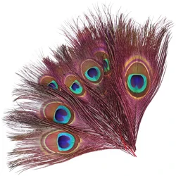 Colored Peacock Feathers 15-25 CM/6-10