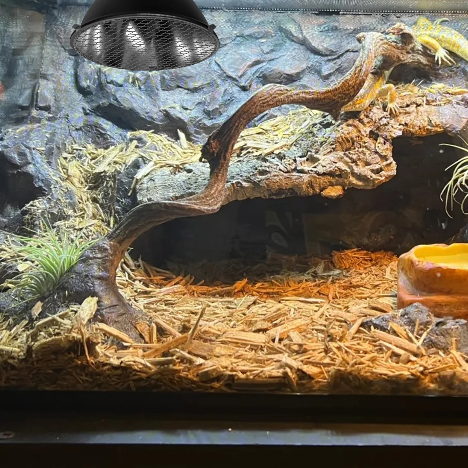 

3Pcs Reptile Heat Lamp Guard Metal Mesh Protective Cover Cage Lamp Anti-Scald Shield Enclosure Safety Reptile Cage Heat Shield