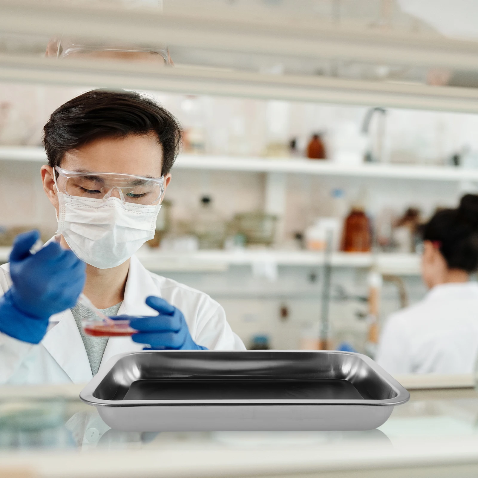 Stainless Steel Dissecting Pan 31x21x4cm Lab Dissection Tray Science Teaching Biology Experiments Laboratory Tray