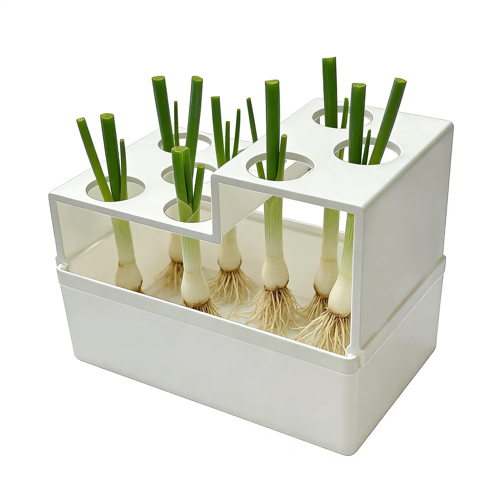 Green Onion Grower Reusable Leakproof Breathable Spring Onion Sprouting Container for Hydroponic Vegetable Planting Gardening
