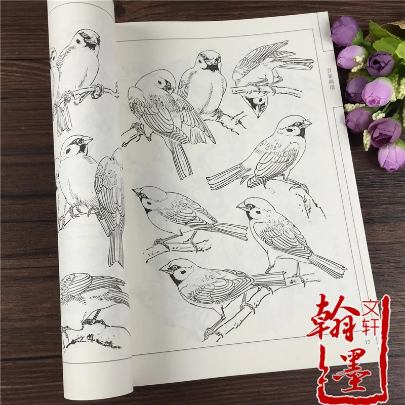 2022 New 94 Pages Birds Painting Collection Art Book Coloring Book Coloring Book for Adults Kids By ManLiang Wang Copybook Album