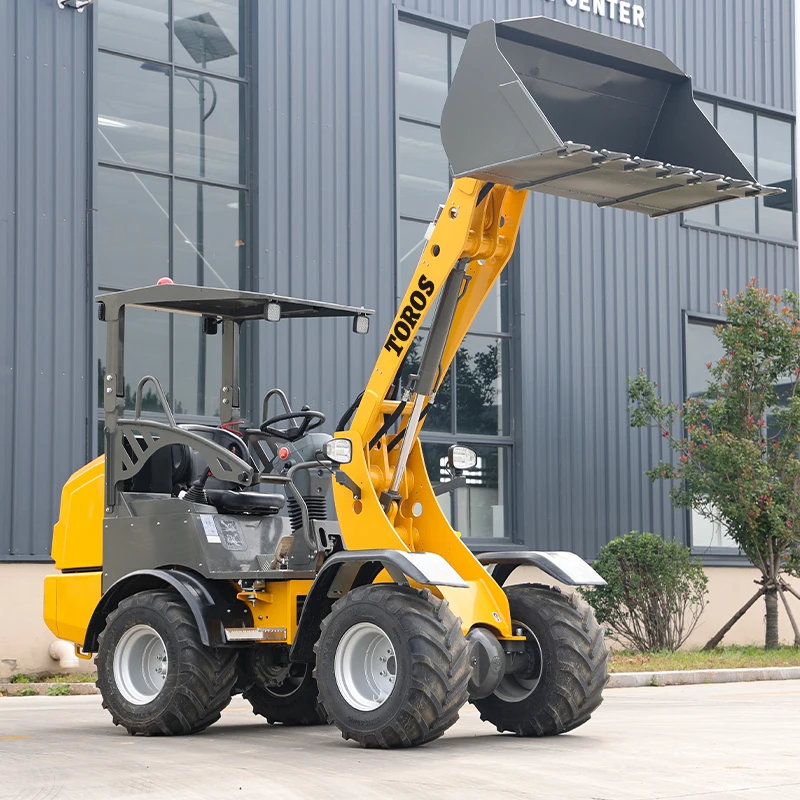 Aangepaste Epa-constructie Kleine compacte voorschep Landbouwconstructie Diesel Mini-schranklader