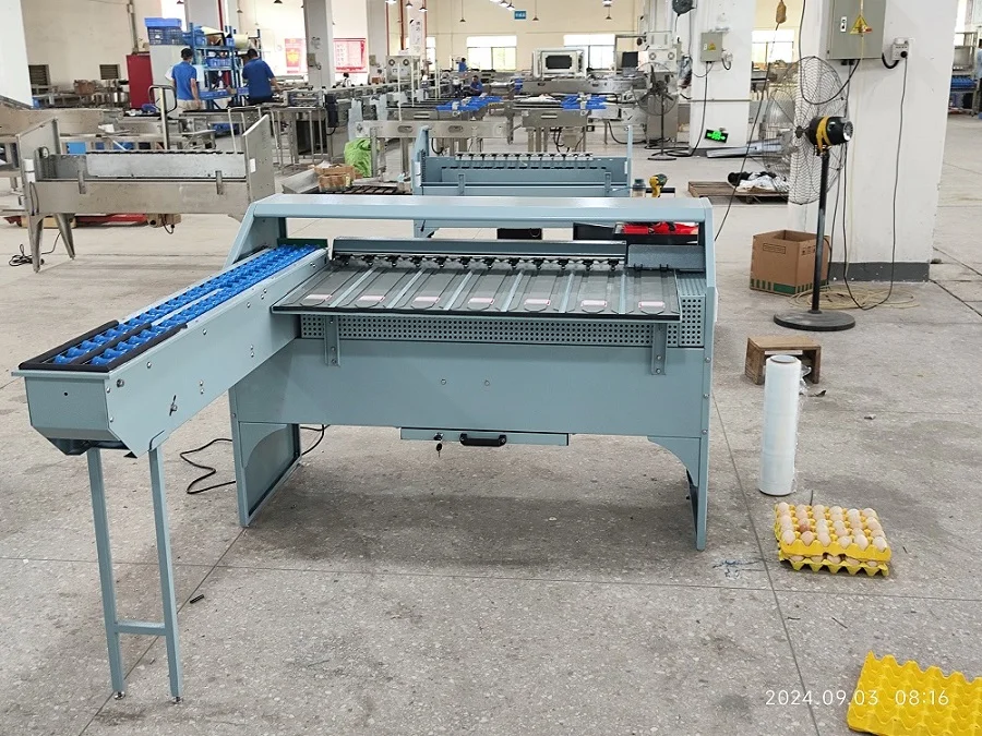 FOODLINE Intelligent Egg Grading Machine Adjustable Weight Threshold For Different Egg Size Classification