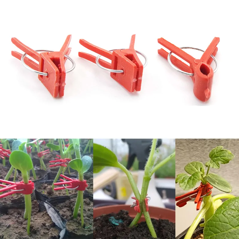 

Garden Graft Clip Plastic Plant Support Clips Anti-fall grafting Clamps For Vine Vegetables Tomatoes Watermelon pumpkin t1