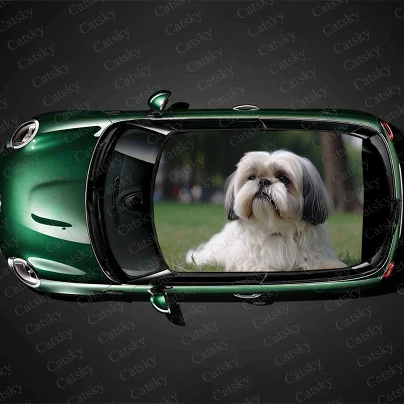 

Shih Tzu Puppy Car Roof Sticker Wrap Racing SUV Accessories Packaging Painted PVC Custom Car Graphic Decal