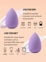 12Piece Makeup Sponge Set, Suitable for Liquid BB Cream Powder Application, Makeup Egg Dry Wet Dual-Use Powder Puff Mini Multico 6