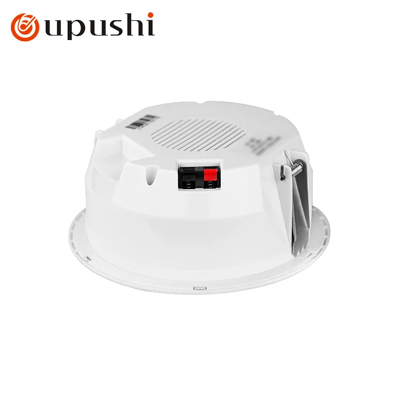 Oupushi Classic Bass Wireless Bluetooth Ceiling Main Speaker With Sub Speaker Home Background Music