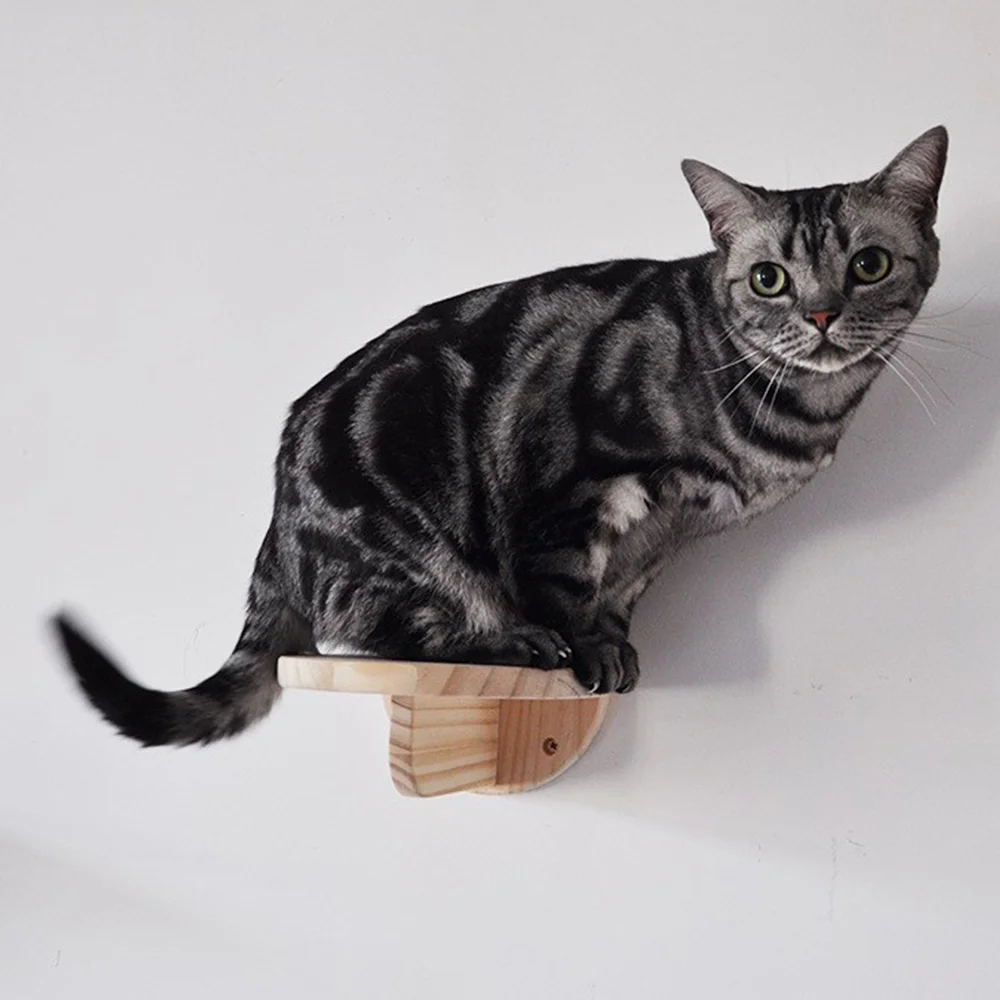 رف جداري للقطط مثبت على الحائط مكون من 3 قطع، سلم تسلق خشبي، رف سلم سلم مثبت على الحائط مناسب للقطط للتسلق