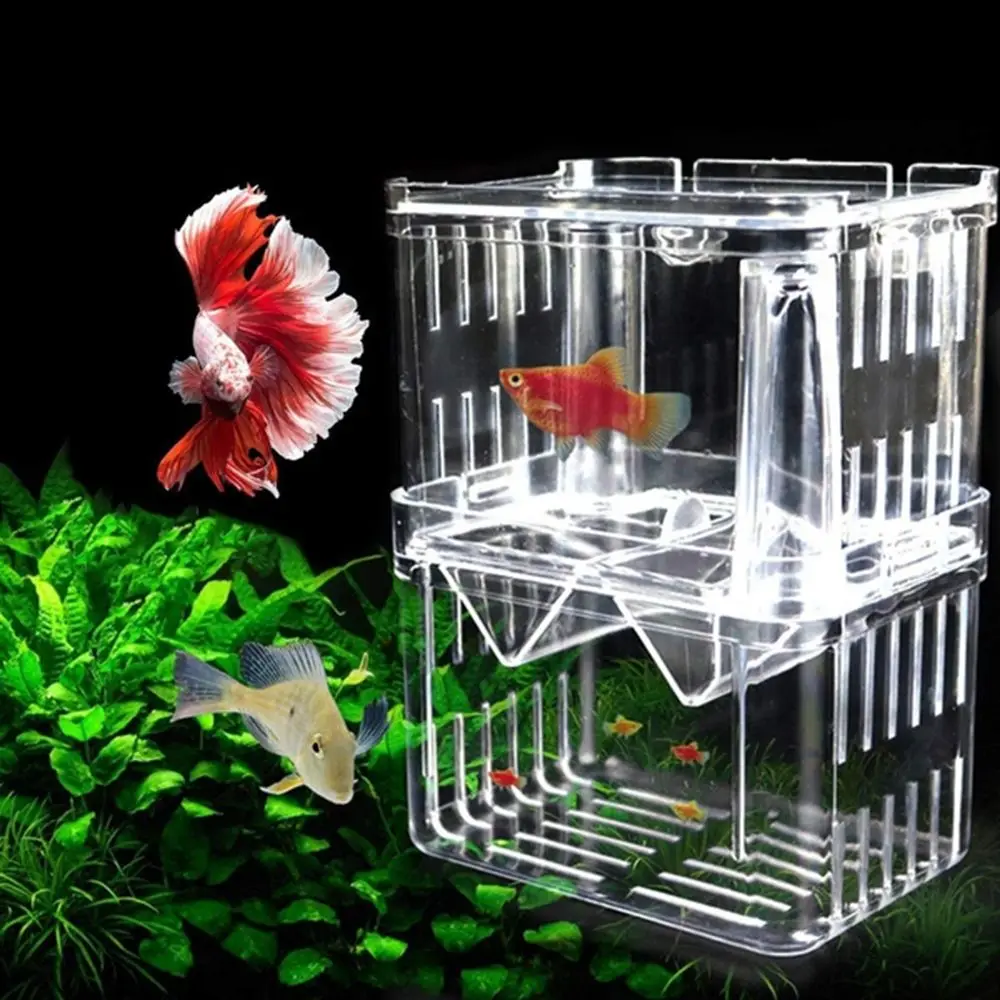 Transparent Fish Isolation Fish Reproduction Aquarium With Suction Cup Breeding Box Aquarium Accessories Hatchery Incubator