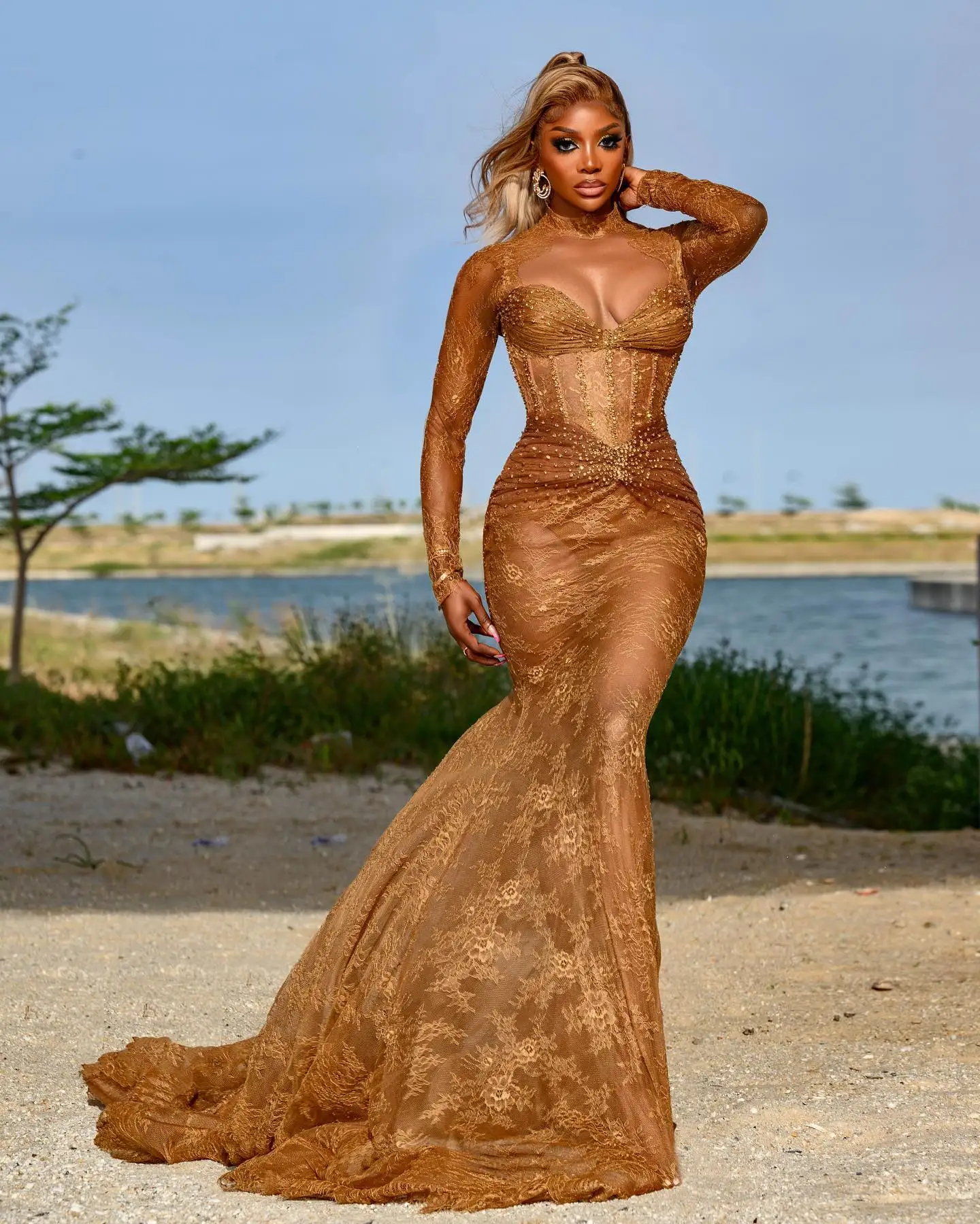 Chocolate Brown Lace Mermaid Evening Dresses African Formal Occasion Dress Plus Size Stretch Lace Aso Ebi Wedding Reception Gown