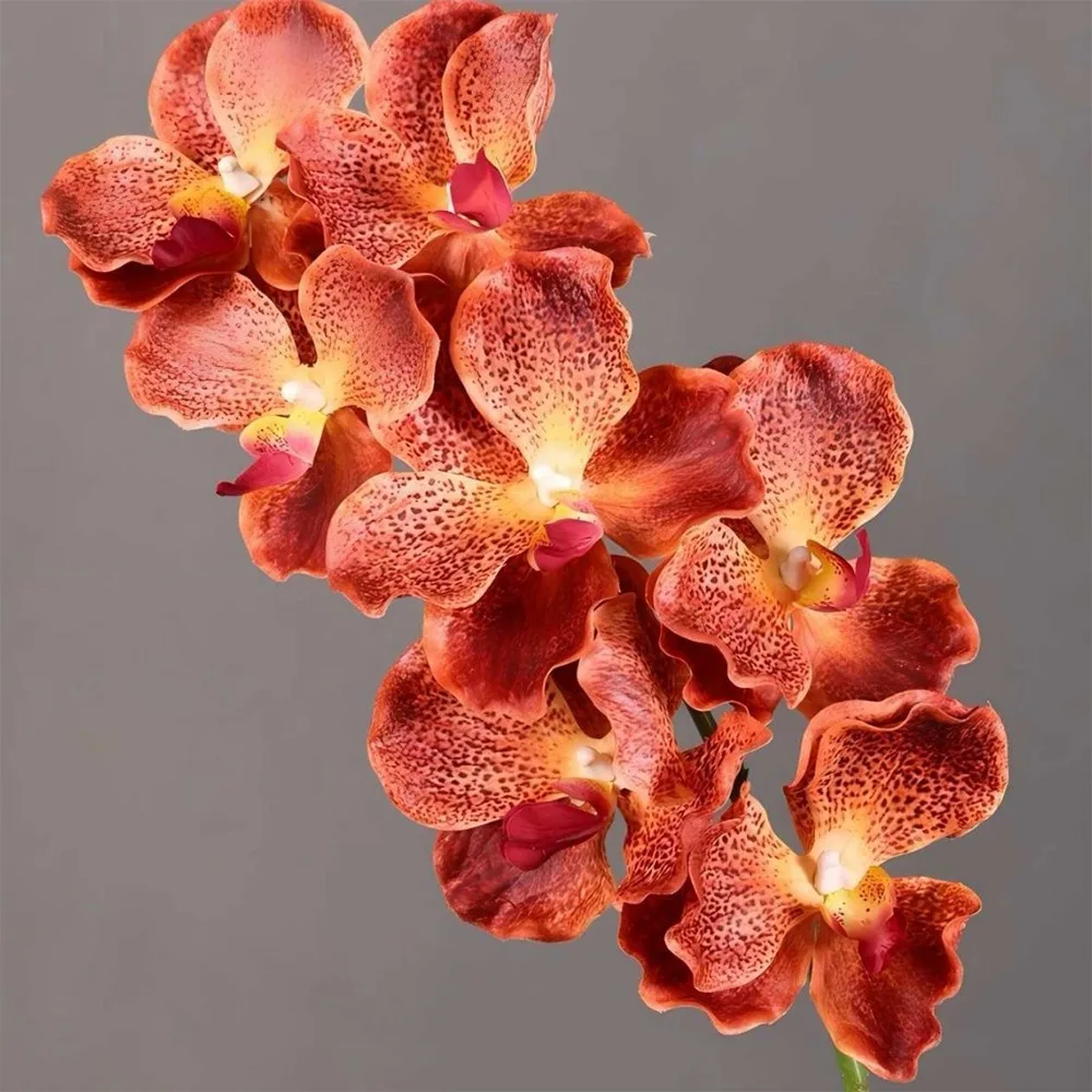 80 CM Artificial Vanda Orchid Plastic Moisturizing Real Touch Orchids Floral Arrangements Realistic Simulation Flower