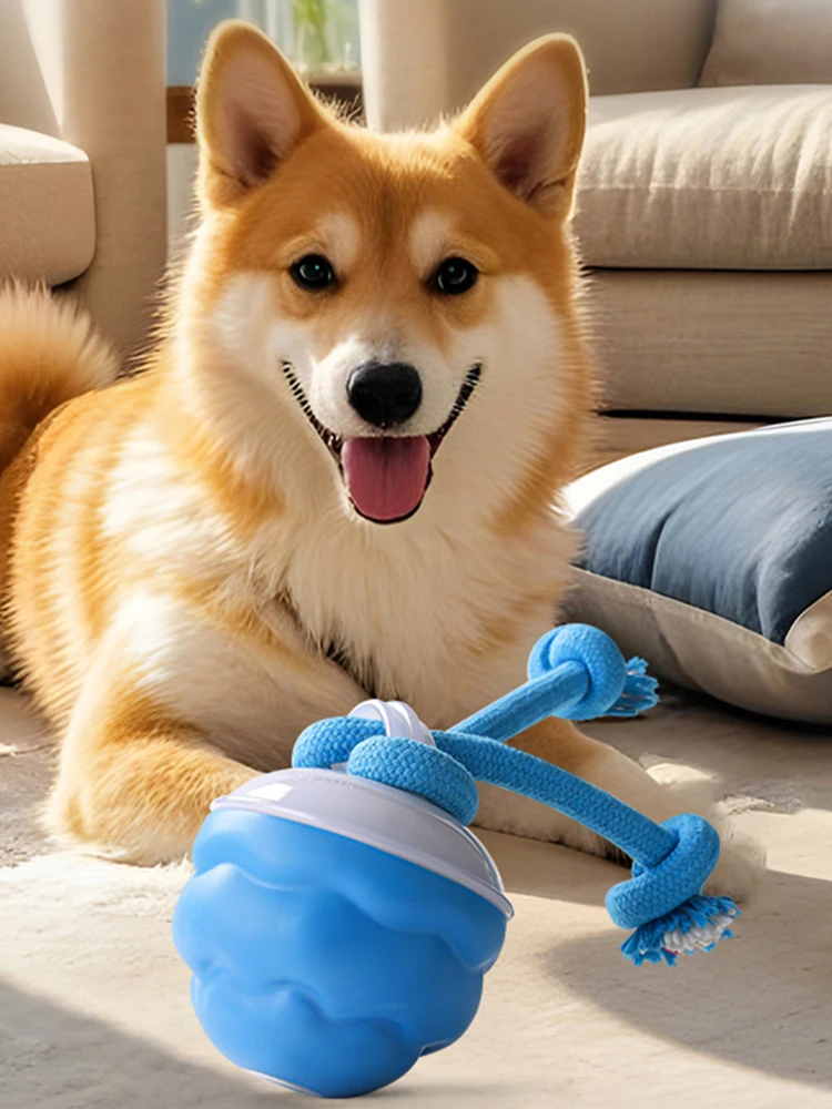 

Интерактивный мяч-игрушка для собак, автоматический прыгающий мяч, перезаряжаемый через USB, активируемый движением, игрушка для кошек, 3 режима, игрушка для тренировок домашних животных, зоотовары