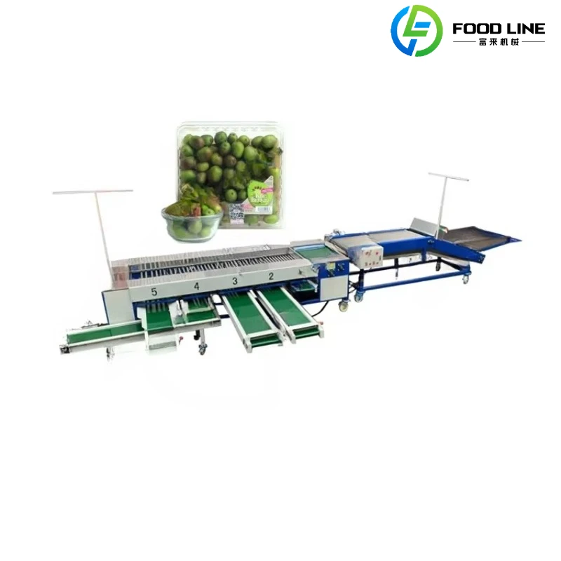 

Автоматическая машина для сортировки оранжевых фруктов, авокадо и томатов по размеру, популярная модель с возможностью индивидуальной настройки.