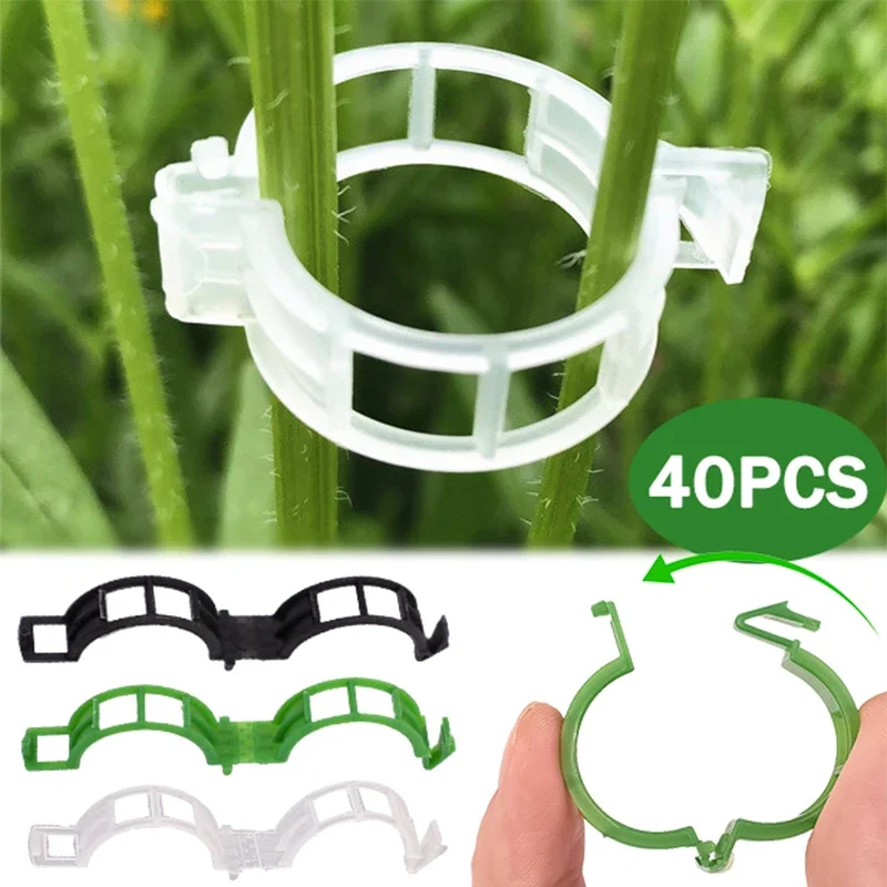 Clips muraux grimpants pour plantes, support, crochet, pince en rotin, greffage, fiosphstent, partenaires de vigne invisibles, outil de jardin de