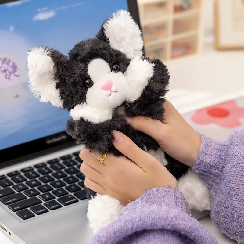 Poupée Devon Rex assise noire de 25cm, oreiller en peluche de chat à longues jambes, Animal de dessin animé doux, peluche réconfortante, cadeau d'anniversaire