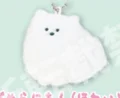 Pomeranian Fluffy