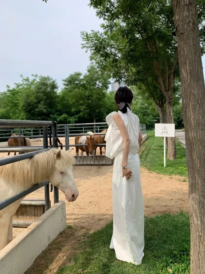 

Шикарный женский комплект во французском стиле: топ без рукавов с бантом и брюки с широкими штанинами, создающие элегантный образ.