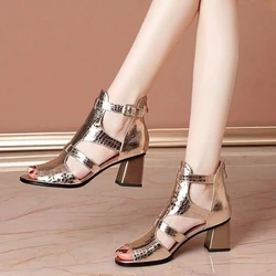 Thick Heels Sandals Women 2024 Summer New Holow Out Sandals Lady High Heeled Pumps Lady Peep Toe Cover Heel Fashion Roman Shoes